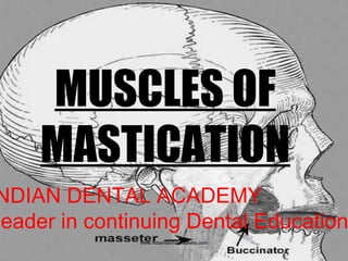 MUSCLES OF
MASTICATION
NDIAN DENTAL ACADEMY
Leader in continuing Dental Education
www.indiandentalacademy.com
 