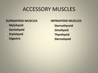 Muscles of mastication | PPTX