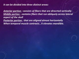 It can be divided into three distinct areas:
Anterior portion : consists of fibers that are direcrted vertically
Middle portion : contains fibers that run obliquely across lateral
aspect of the skull
Posterior portion : that are aligned almost horizontally
When temporal muscle contracts , it elevates mandible.
 