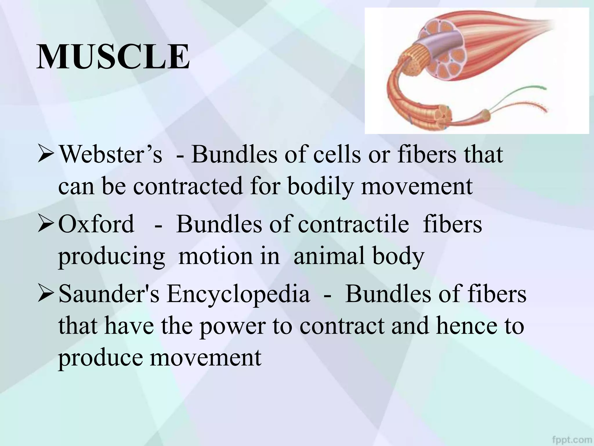 Muscles of mastication | PPT