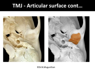 Greater Multangular Joint Muscles of mastication & TMJ Dr.N.Mugunthan | PDF