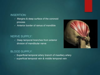 Muscles of mastication face and head and neck alignment attachment ppt ...