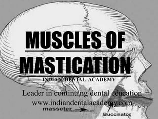 MUSCLES OF
MASTICATIONINDIAN DENTAL ACADEMY
Leader in continuing dental education
www.indiandentalacademy.com
www.indiandentalacademy.com
 