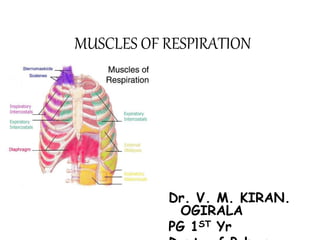 MUSCLES OF RESPIRATION
Dr. V. M. KIRAN.
OGIRALA
PG 1ST Yr
 