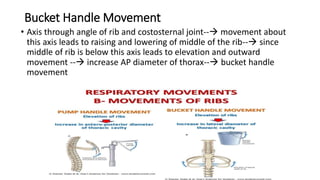 muscles and mechanics of respiration.pptx