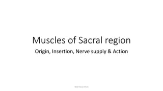 Muscles of Sacral region
Origin, Insertion, Nerve supply & Action
Abid Hasan Khan
 