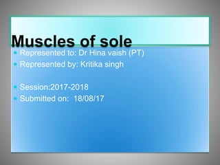  Represented to: Dr Hina vaish (PT)
 Represented by: Kritika singh
 Session:2017-2018
 Submitted on: 18/08/17
Muscles of sole
 