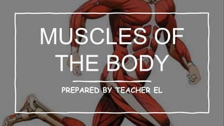 MUSCLES OF
THE BODY
PREPARED BY TEACHER EL
 