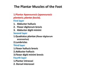 The Plantar Muscles of the Foot
1.Plantar Aponeurosis (aponeurosis
plantaris; plantar fascia).
First layer
1. Abductor hallucis
2. Flexor digitorum brevis
3. Abductor digiti minimi
Second layer
1.Quadratus plantae (flexor digitorum
accessorius)
2.Lumbricles
Third layer
1.Flexor hallucis brevis
2.Adductor hallucis
3.Flexor digiti minimi brevis
Fourth layer
1.Plantar introssei
2. Dorsal interossei
 