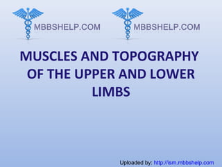 MUSCLES AND TOPOGRAPHY
OF THE UPPER AND LOWER
LIMBS
Uploaded by: http://ism.mbbshelp.com
 
