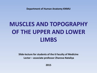 Department of Human Anatomy KNMU
MUSCLES AND TOPOGRAPHY
OF THE UPPER AND LOWER
LIMBS
Slide-lecture for students of the 6 Faculty of Medicine
Lector – associate professor Zharova Nataliya
2015
 