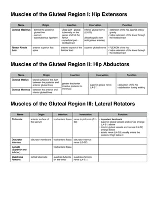 Muscles Of The Lower Limb And Their Functions