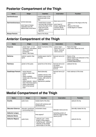 Muscles Of The Lower Limb And Their Functions