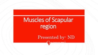 Muscles of Scapular
region
Presented by- ND
Goswami
 