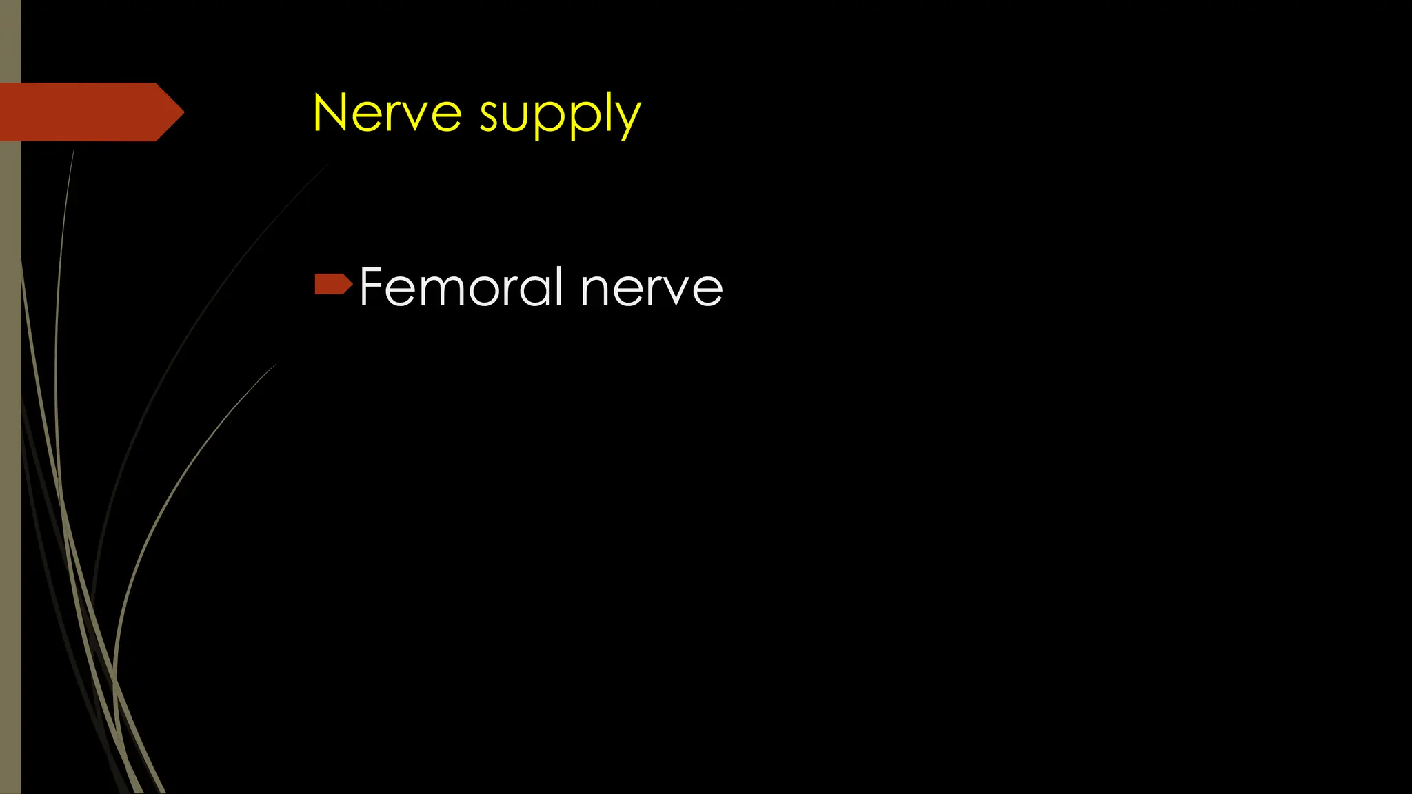 Nerve supply
Femoral nerve
 