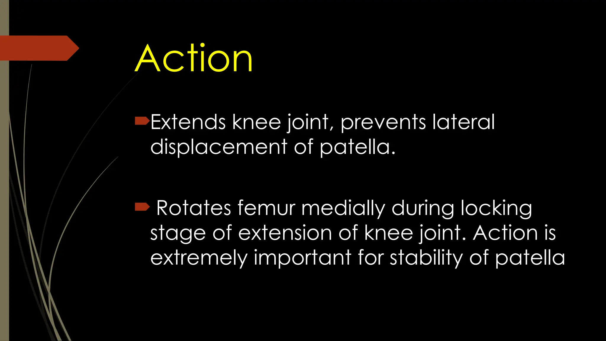 Action
Extends knee joint, prevents lateral
displacement of patella.
 Rotates femur medially during locking
stage of extension of knee joint. Action is
extremely important for stability of patella
 