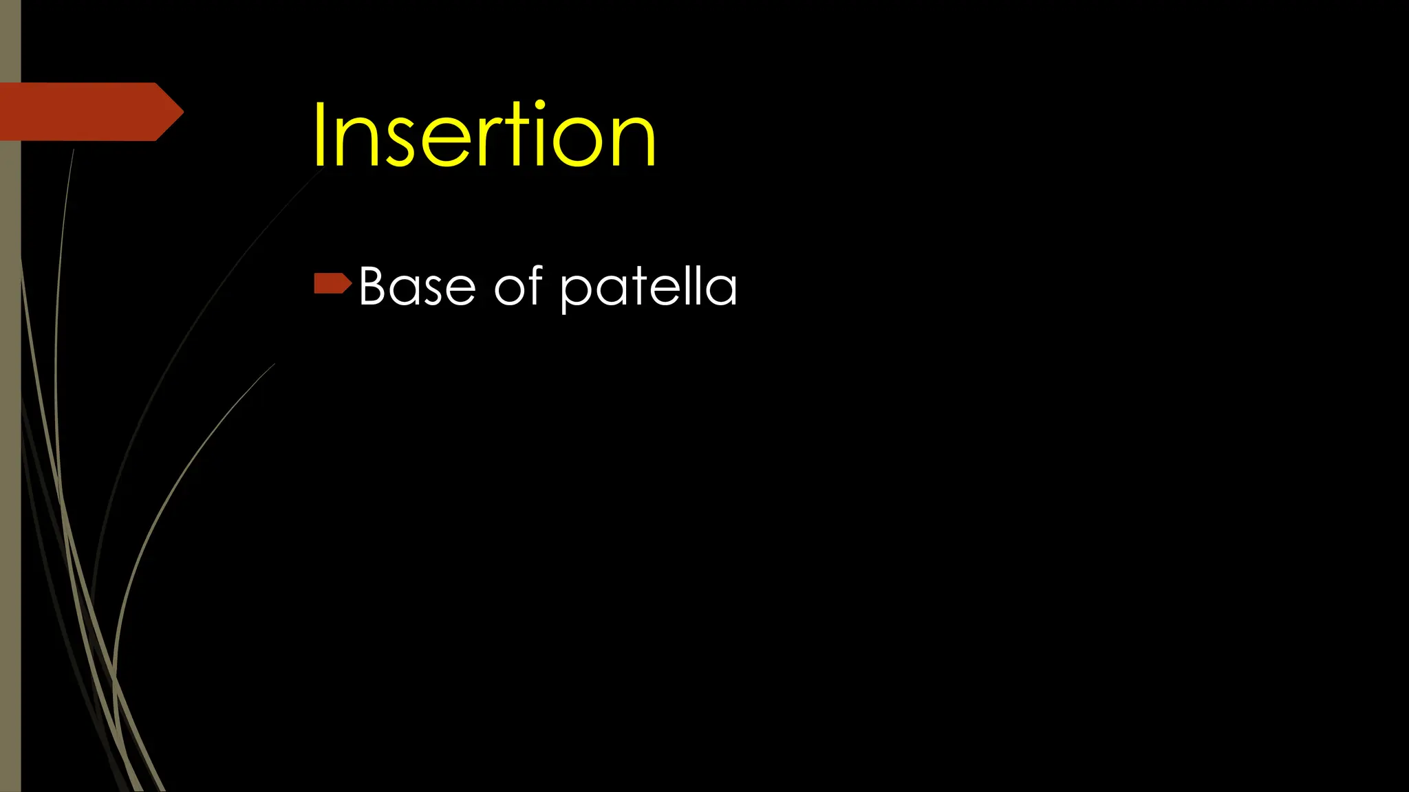 Insertion
Base of patella
 