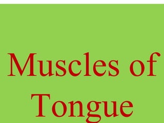Muscles of
Tongue
 