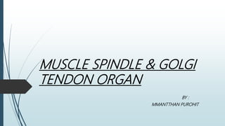 MUSCLE SPINDLE & GOLGI
TENDON ORGAN
BY :
MMANTTHAN PUROHIT
 
