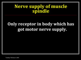 Nerve supply of muscle
spindle
Only receptor in body which has
got motor nerve supply.
Tuesday, February 4, 2020
 