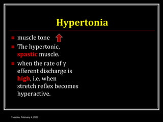 Hypertonia
 muscle tone
 The hypertonic,
spastic muscle.
 when the rate of γ
efferent discharge is
high, i.e. when
stretch reflex becomes
hyperactive.
Tuesday, February 4, 2020
 