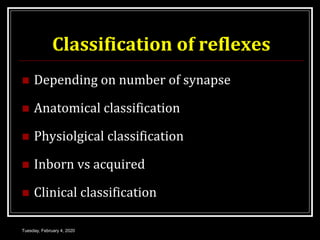 Classification of reflexes
 Depending on number of synapse
 Anatomical classification
 Physiolgical classification
 Inborn vs acquired
 Clinical classification
Tuesday, February 4, 2020
 