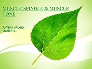 MUSCLE SPINDLE & MUSCLE
TONE
FATIMA WAHID
MANGRIO
 