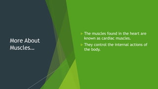 More About
Muscles…
The muscles found in the heart are
known as cardiac muscles.
They control the internal actions of
the body.