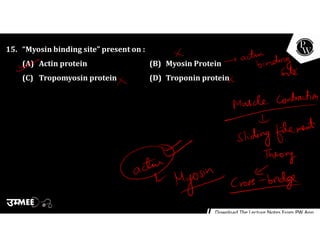 15. “Myosin binding site” present on :
(A) Actin protein (B) Myosin Protein
(C) Tropomyosin protein (D) Troponin protein
 