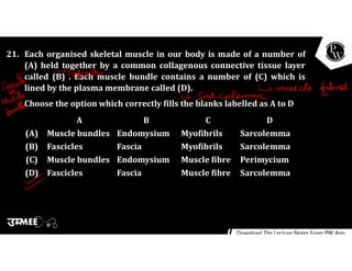 21. Each organised skeletal muscle in our body is made of a number of
(A) held together by a common collagenous connective tissue layer
called (B) . Each muscle bundle contains a number of (C) which is
lined by the plasma membrane called (D).
Choose the option which correctly fills the blanks labelled as A to D
A B C D
(A) Muscle bundles Endomysium Myofibrils Sarcolemma
(B) Fascicles Fascia Myofibrils Sarcolemma
(C) Muscle bundles Endomysium Muscle fibre Perimycium
(D) Fascicles Fascia Muscle fibre Sarcolemma
 