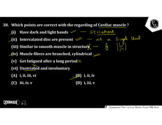 38. Which points are correct with the regarding of Cardiac muscle ?
(i) Have dark and light bands
(ii) Intercalated disc are present
(iii) Similar to smooth muscle in structure
(iv) Muscle fibres are branched, cylindrical
(v) Get fatigued after a long period
(vi) Unstriated and involuntary
(A) i, ii, iii, vi (B) i, ii, iv
(C) iii, iv, v (D) i, iii, v
 