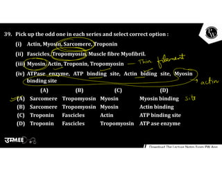 39. Pick up the odd one in each series and select correct option :
(i) Actin, Myosin, Sarcomere, Troponin
(ii) Fascicles, Tropomyosin, Muscle fibre Myofibril.
(iii) Myosin, Actin, Troponin, Tropomyosin
(iv) ATPase enzyme, ATP binding site, Actin biding site, Myosin
binding site
(A) (B) (C) (D)
(A) Sarcomere Tropomyosin Myosin Myosin binding
(B) Sarcomere Tropomyosin Myosin Actin binding
(C) Troponin Fascicles Actin ATP binding site
(D) Troponin Fascicles Tropomyosin ATP ase enzyme
 