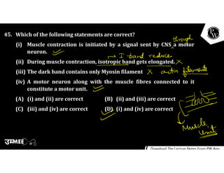 45. Which of the following statements are correct?
(i) Muscle contraction is initiated by a signal sent by CNS a motor
neuron.
(ii) During muscle contraction, isotropic band gets elongated.
(iii) The dark band contains only Myosin filament
(iv) A motor neuron along with the muscle fibres connected to it
constitute a motor unit.
(A) (i) and (ii) are correct (B) (ii) and (iii) are correct
(C) (iii) and (iv) are correct (D) (i) and (iv) are correct
 
