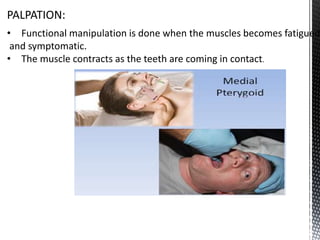 Tooth Muscular Muscles surrounding Complete Denture | PPTX