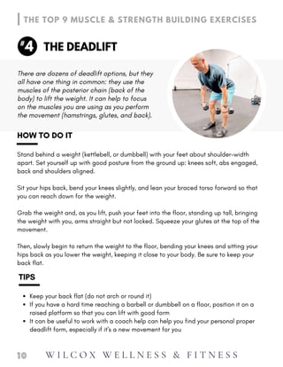 Then, slowly begin to return the weight to the floor, bending your knees and sitting your
hips back as you lower the weight, keeping it close to your body. Be sure to keep your
back flat.
HOW TO DO IT
Stand behind a weight (kettlebell, or dumbbell) with your feet about shoulder-width
apart. Set yourself up with good posture from the ground up: knees soft, abs engaged,
back and shoulders aligned.
Sit your hips back, bend your knees slightly, and lean your braced torso forward so that
you can reach down for the weight.
Grab the weight and, as you lift, push your feet into the floor, standing up tall, bringing
the weight with you, arms straight but not locked. Squeeze your glutes at the top of the
movement.
Keep your back flat (do not arch or round it)
If you have a hard time reaching a barbell or dumbbell on a floor, position it on a
raised platform so that you can lift with good form
It can be useful to work with a coach help can help you find your personal proper
deadlift form, especially if it's a new movement for you
TIPS
1 0
THE DEADLIFT
THE TOP 9 MUSCLE & STRENGTH BUILDING EXERCISES
4
#
There are dozens of deadlift options, but they
all have one thing in common: they use the
muscles of the posterior chain (back of the
body) to lift the weight. It can help to focus
on the muscles you are using as you perform
the movement (hamstrings, glutes, and back).
W I L C O X W E L L N E S S & F I T N E S S
 