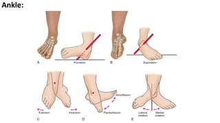 Range of motion and muscle strengthening exercises | PPTX