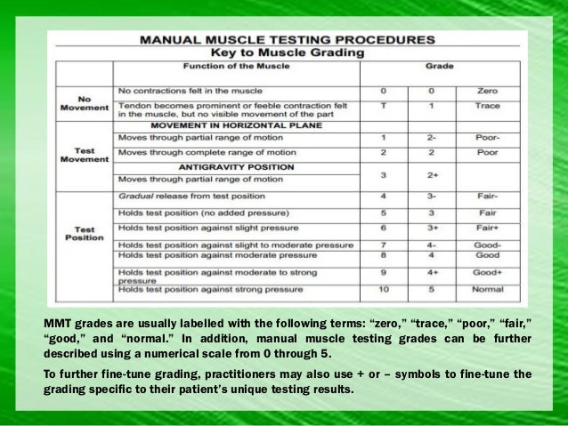 grades-of-muscle-strength