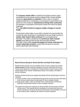 Dynamic Reflex Muscle stretch reflex | PDF