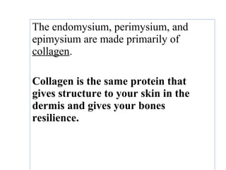 The endomysium, perimysium, and
epimysium are made primarily of
collagen.
Collagen is the same protein that
gives structure to your skin in the
dermis and gives your bones
resilience.
 