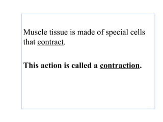 Muscle tissue is made of special cells
that contract.
This action is called a contraction.
 