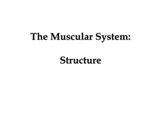 The Muscular System:The Muscular System:
StructureStructure
 