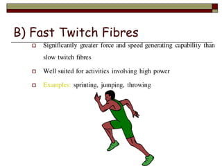 muscles structure, types and functions | PDF