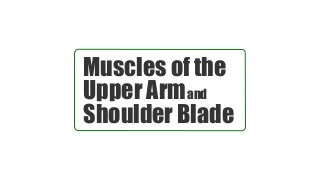 Muscles of the
Upper Armand
Shoulder Blade
 