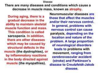 Disease
There are many diseases and conditions which cause a
decrease in muscle mass, known as atrophy.
During aging, there is a
gradual decrease in the
ability to maintain skeletal
muscle function and mass.
This condition is called
sarcopenia. In addition,
there are other diseases
which may be caused by
structural defects in the
muscle (the dystrophies), or
by inflammatory reactions
in the body directed against
muscle (the myopathies).
Neuromuscular diseases are
those that affect the muscles
and/or their nervous control.
In general, problems with
nervous control can cause
paralysis, depending on the
location and nature of the
problem. A large proportion
of neurological disorders
leads to problems with
movement, ranging from
cerebrovascular accident
(stroke) and Parkinson’s
disease to Creutzfeldt-Jakob
disease.
 