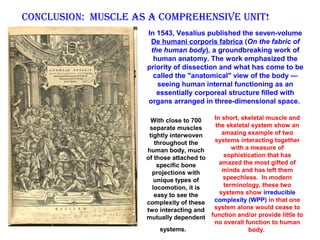 conclusion: Muscle As A coMprehensive unit!
With close to 700
separate muscles
tightly interwoven
throughout the
human body, much
of those attached to
specific bone
projections with
unique types of
locomotion, it is
easy to see the
complexity of these
two interacting and
mutually dependent
systems.
In short, skeletal muscle and
the skeletal system show an
amazing example of two
systems interacting together
with a measure of
sophistication that has
amazed the most gifted of
minds and has left them
speechless. In modern
terminology, these two
systems show irreducible
complexity (WPP) in that one
system alone would cease to
function and/or provide little to
no overall function to human
body.
In 1543, Vesalius published the seven-volume
De humani corporis fabrica (On the fabric of
the human body), a groundbreaking work of
human anatomy. The work emphasized the
priority of dissection and what has come to be
called the "anatomical" view of the body —
seeing human internal functioning as an
essentially corporeal structure filled with
organs arranged in three-dimensional space.
 