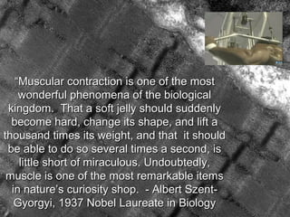 ““Muscular contraction is one of the mostMuscular contraction is one of the most
wonderful phenomena of the biologicalwonderful phenomena of the biological
kingdom. That a soft jelly should suddenlykingdom. That a soft jelly should suddenly
become hard, change its shape, and lift abecome hard, change its shape, and lift a
thousand times its weight, and that it shouldthousand times its weight, and that it should
be able to do so several times a second, isbe able to do so several times a second, is
little short of miraculous. Undoubtedly,little short of miraculous. Undoubtedly,
muscle is one of the most remarkable itemsmuscle is one of the most remarkable items
in nature’s curiosity shop. - Albert Szent-in nature’s curiosity shop. - Albert Szent-
Gyorgyi, 1937 Nobel Laureate in BiologyGyorgyi, 1937 Nobel Laureate in Biology
 