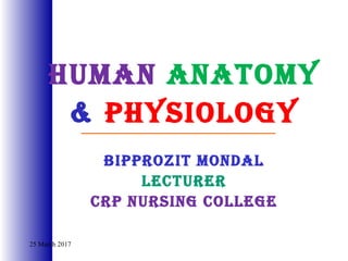Human anatomy
& PHysiology
BiPProzit mondal
lecturer
crP nursing college
25 March 2017
 