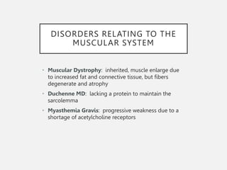 Progressive Muscle Disorder muscle_system.ppt
