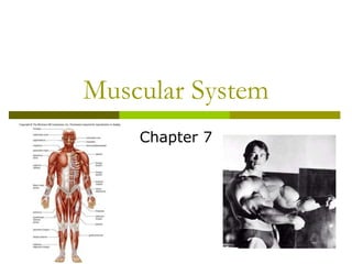 Muscular System
Chapter 7
 