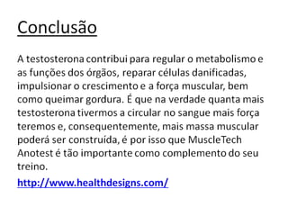 MuscleTech Anotest